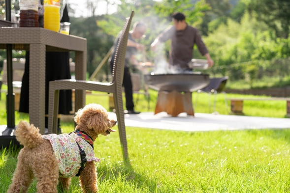 【Basic】 愛犬といつも一緒♪　里山丹波の古民家オーベルジュで創作フレンチを愉しむ休日